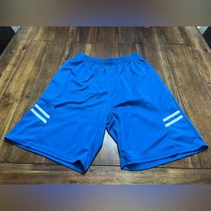 A Pair of blue activewear shorts